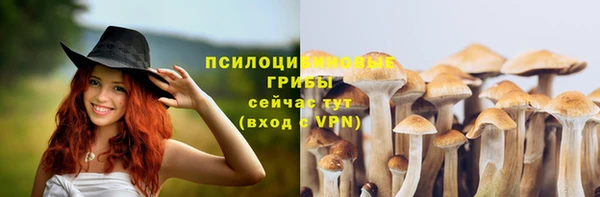соль ск Аркадак