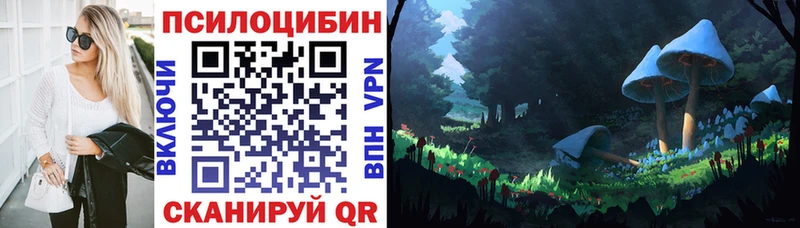 как найти закладки  Биробиджан  blacksprut зеркало  Галлюциногенные грибы Cubensis 
