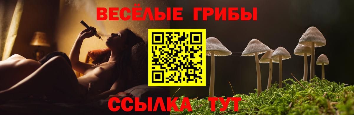 Псилоцибиновые грибы мухоморы Биробиджан